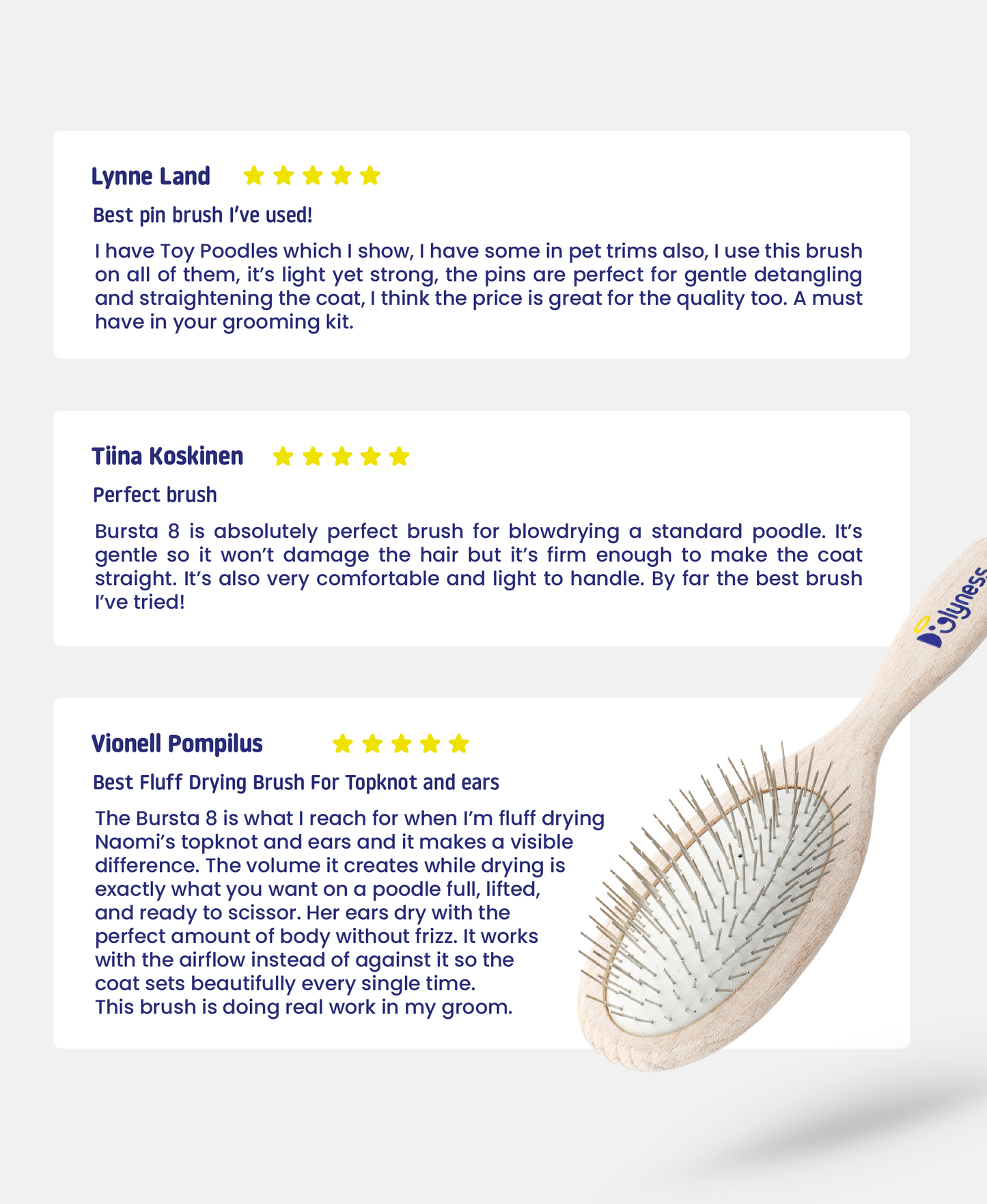 BURSTA 8 | Gentle Dog Pin Brush