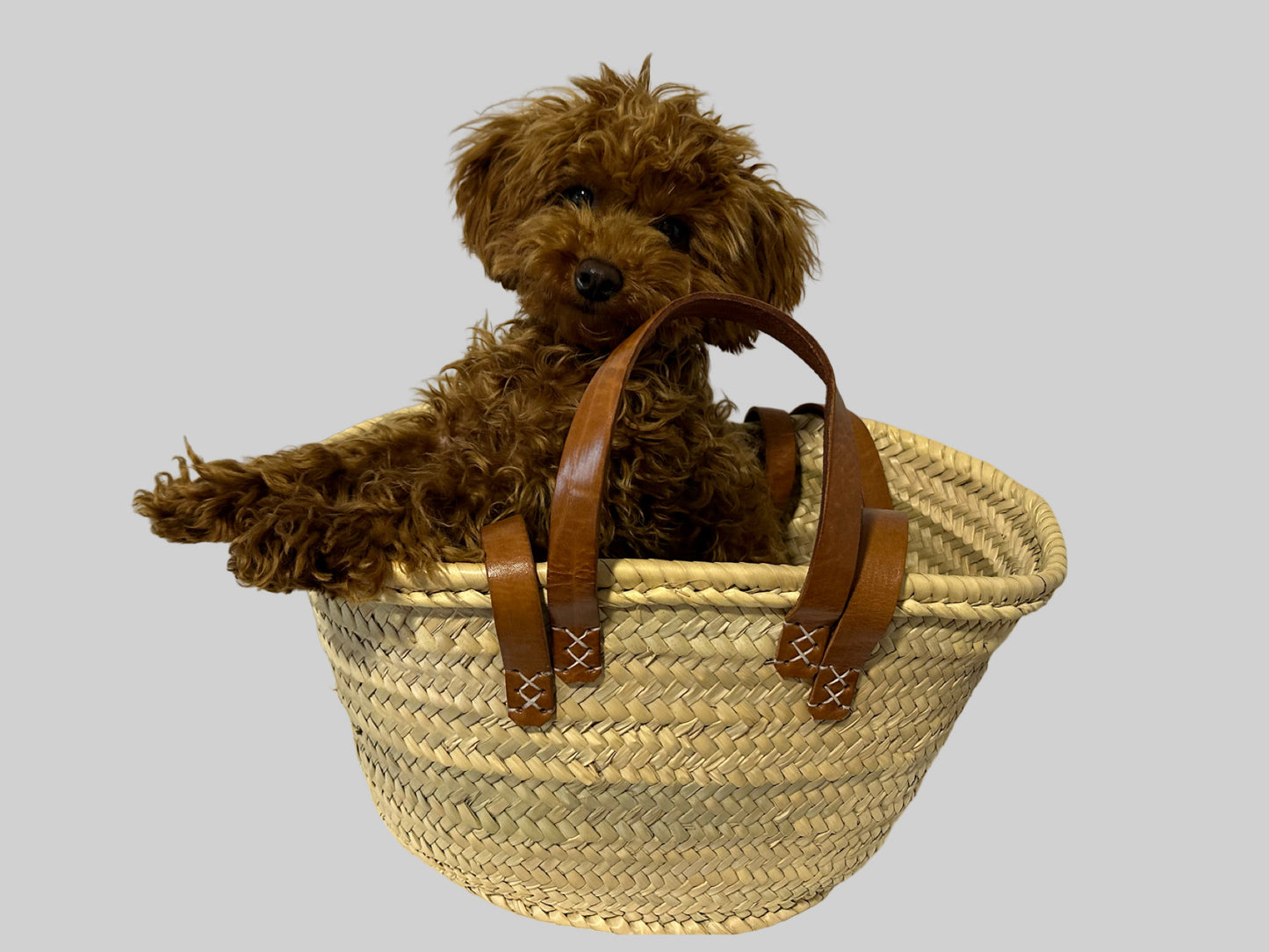 Tina straw bag