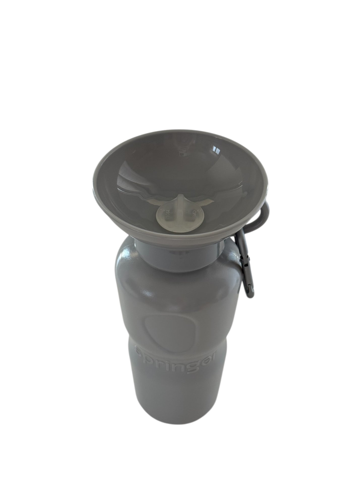 Travel Water Bottle - Gray