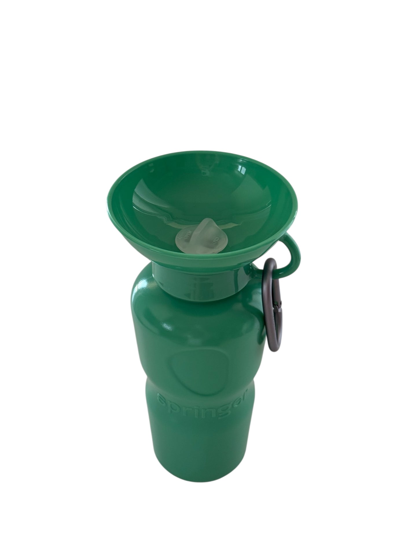Travel Water Bottle - Green