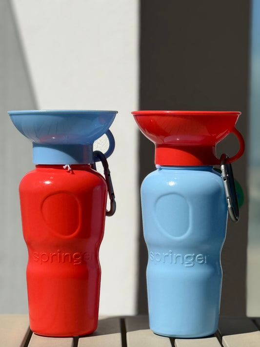 Travel water bottle - Sky Blue & Poppy