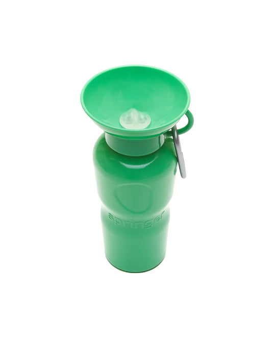 Travel Water Bottle - Green