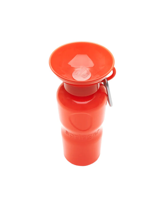 Travel Water Bottle - Poppy