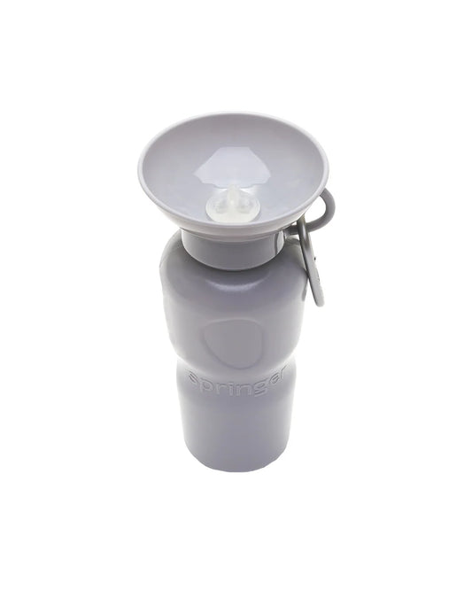 Travel Water Bottle - Gray