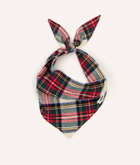 Dog Bandana Design Dress Stewart Tweed