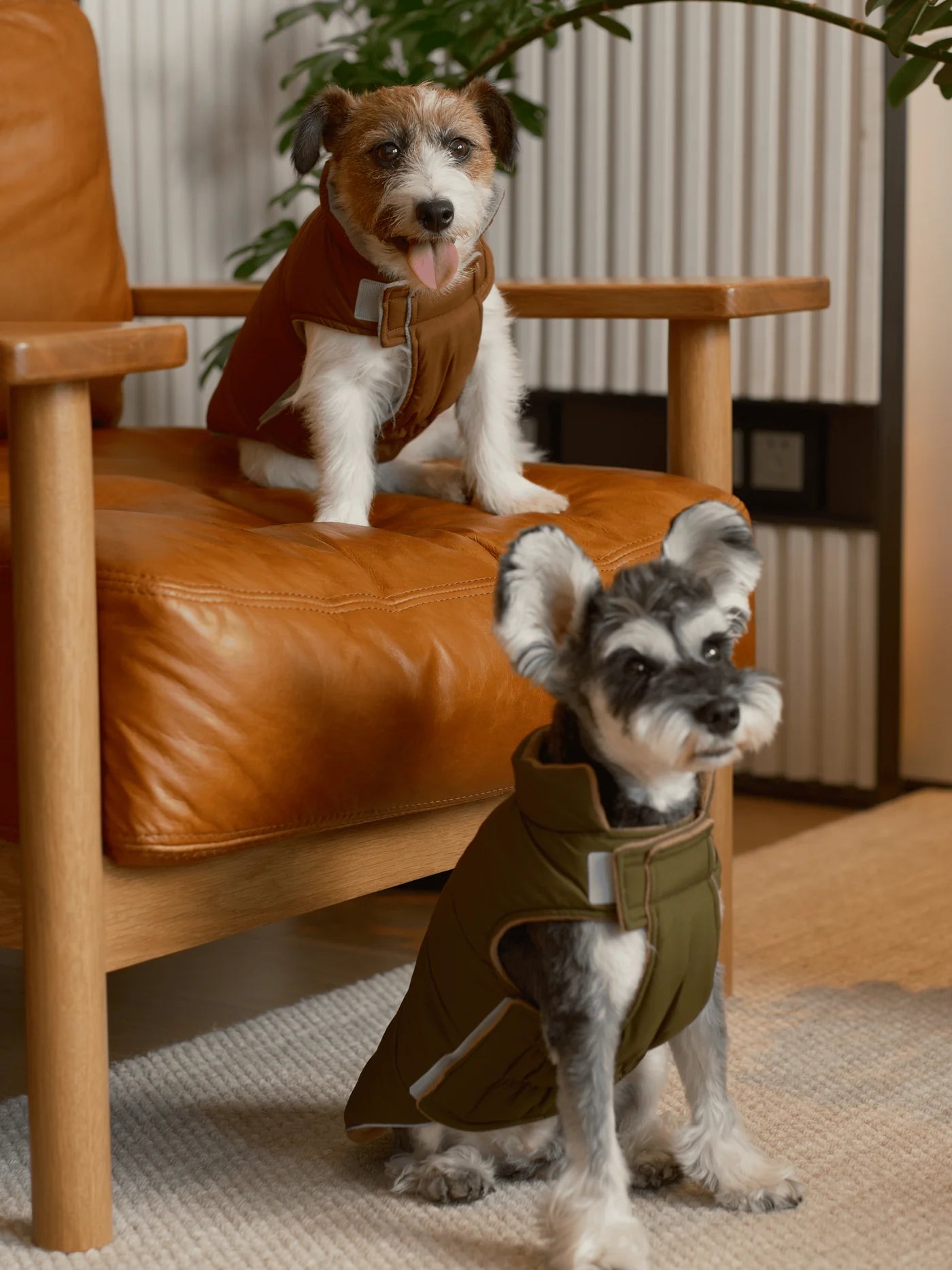 REVERSIBLE DOG VEST JACKET - ORANGE GREY / GREEN BROWN