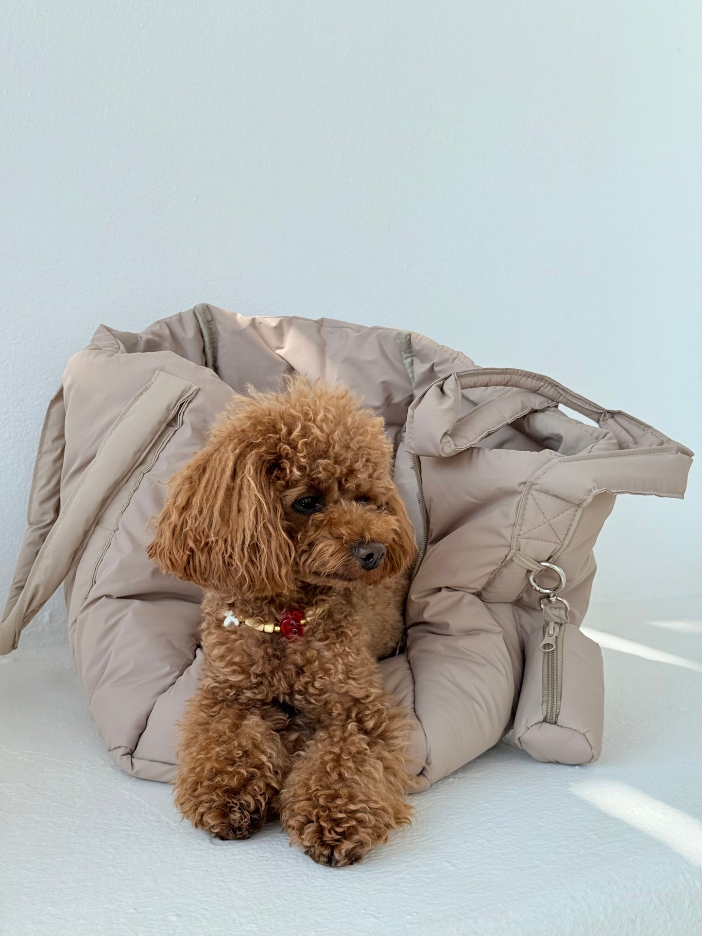 FurryTails x Toy Carrier Bag
