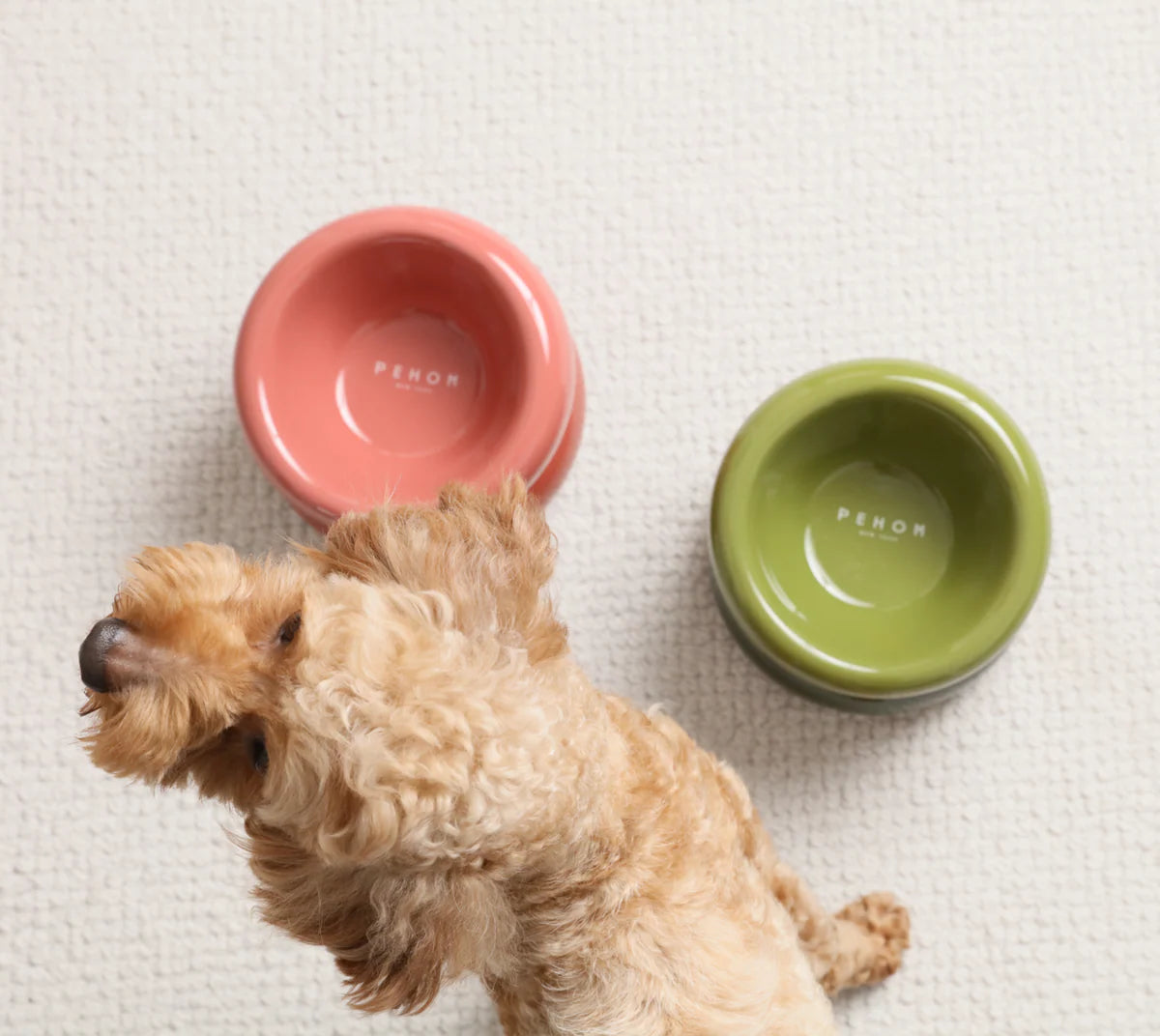 SOUFFLÉ PET BOWL - ROSE PINK