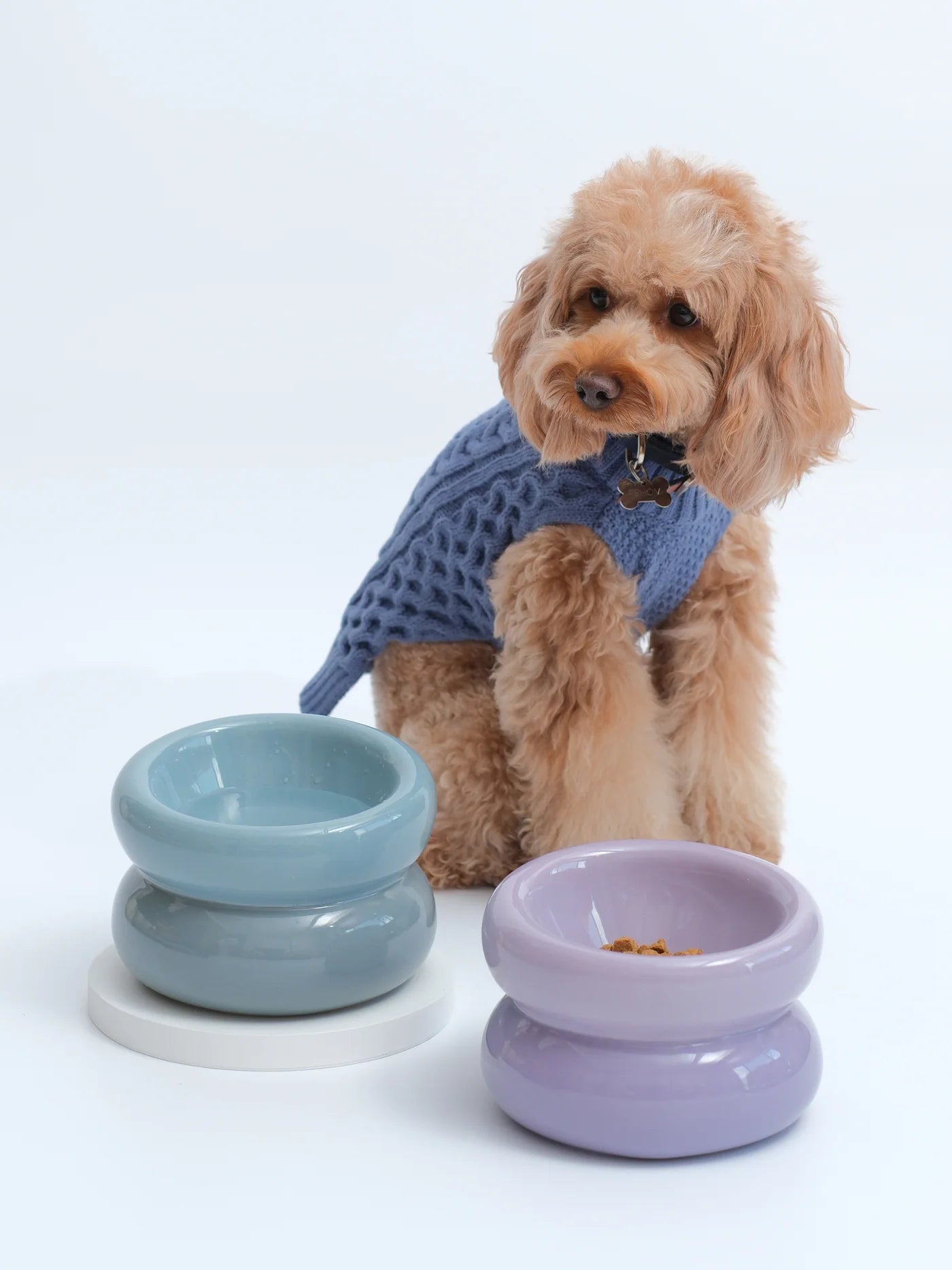 SOUFFLÉ PET BOWL - PURPLE