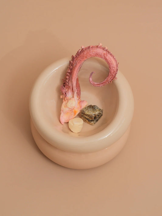 SOUFFLÉ PET BOWL - CREAM BEIGE