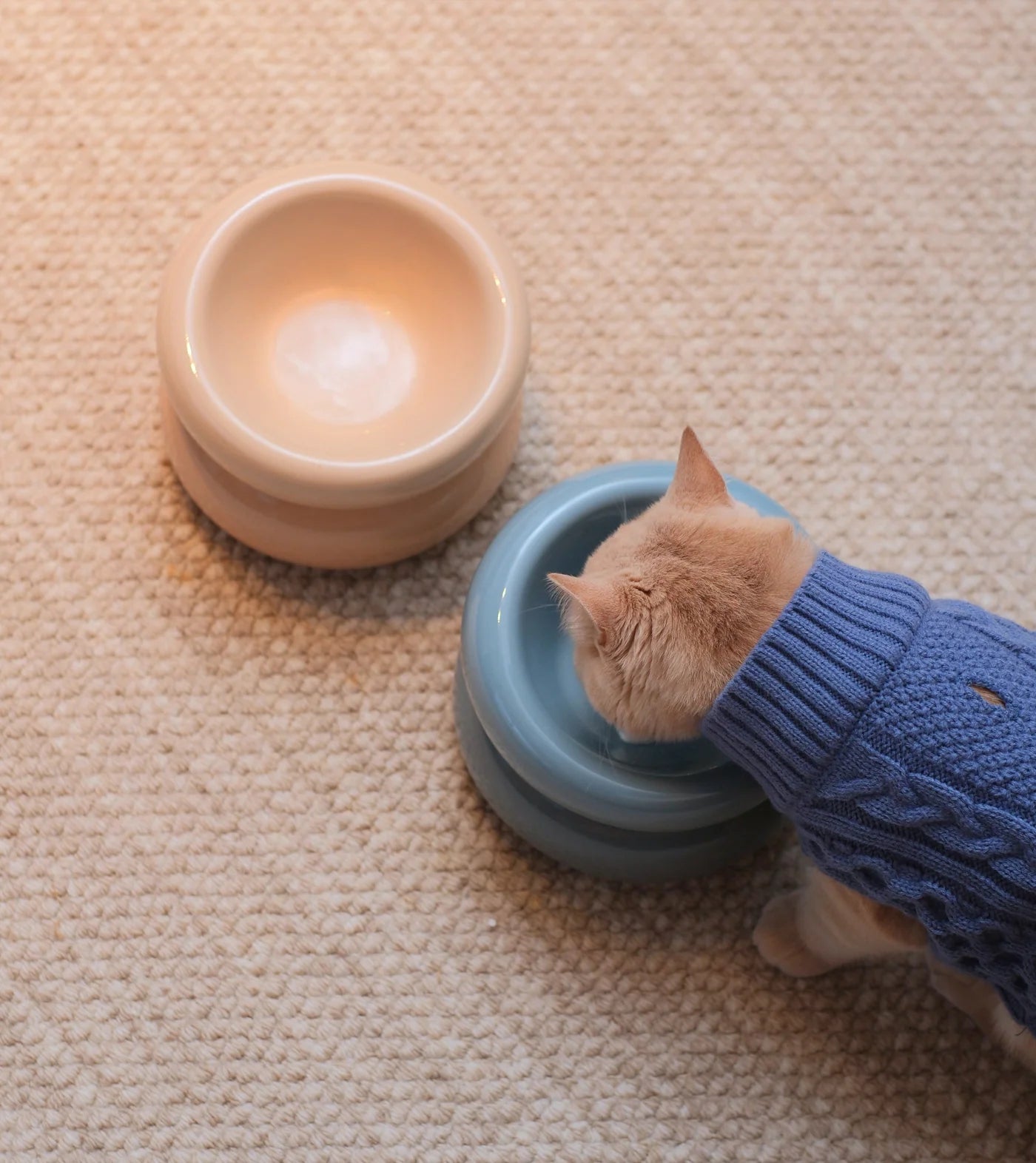 SOUFFLÉ PET BOWL - FROZEN BLUE
