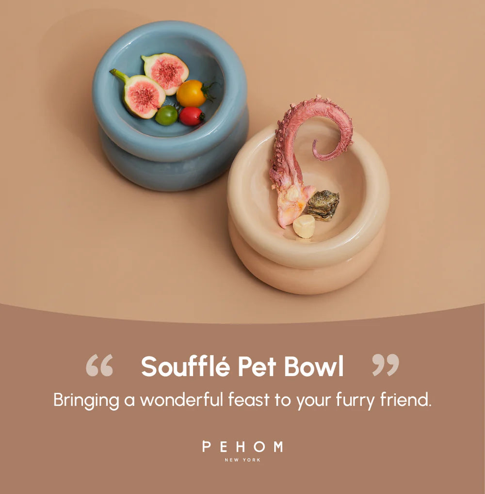 SOUFFLÉ PET BOWL - FROZEN BLUE