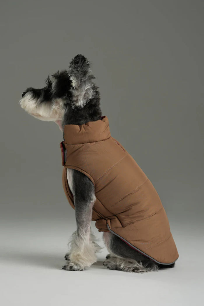 REVERSIBLE DOG VEST JACKET - RED BROWN