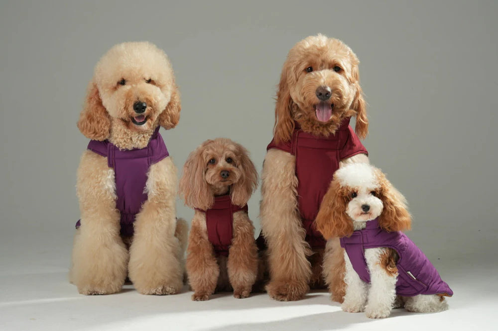 REVERSIBLE DOG VEST JACKET - RED BROWN