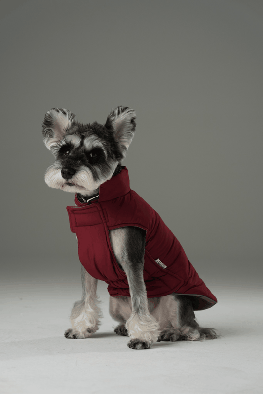 REVERSIBLE DOG VEST JACKET - RED BROWN