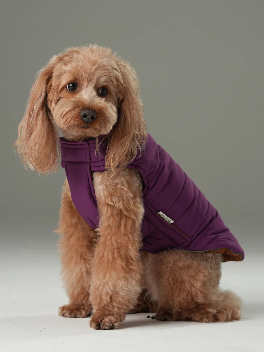 REVERSIBLE DOG VEST JACKET - PURPLE CARAMEL
