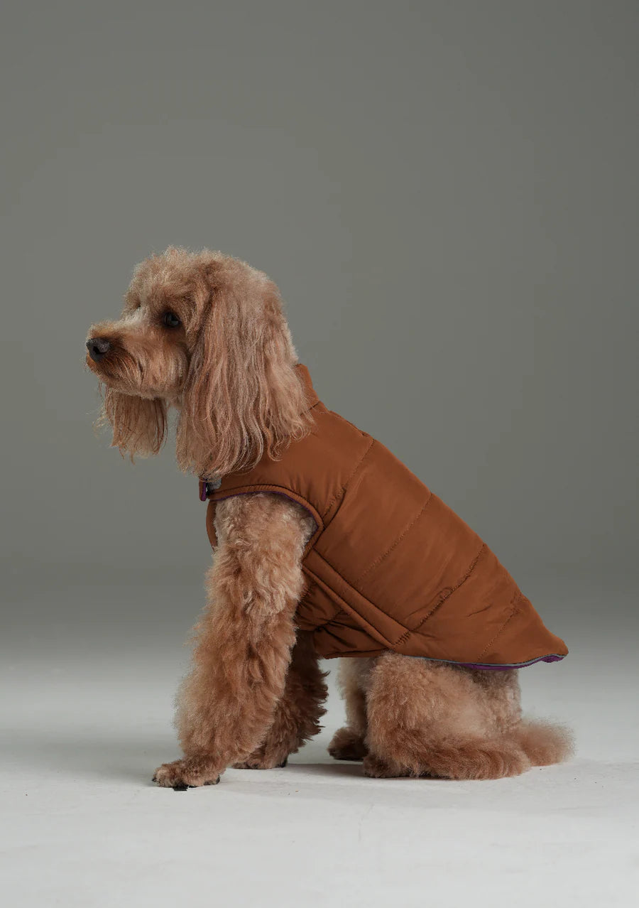 REVERSIBLE DOG VEST JACKET - PURPLE CARAMEL
