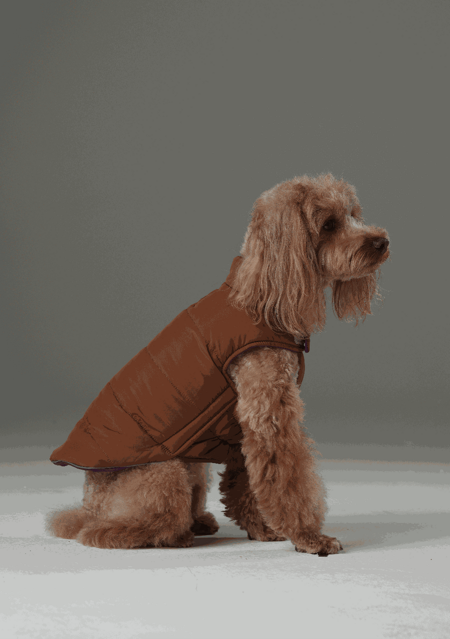 REVERSIBLE DOG VEST JACKET - PURPLE CARAMEL