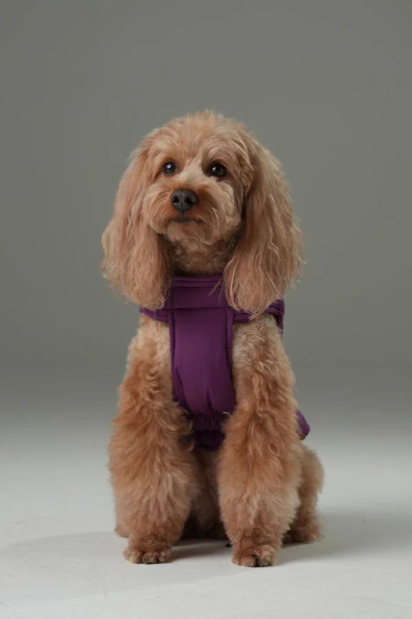 REVERSIBLE DOG VEST JACKET - PURPLE CARAMEL