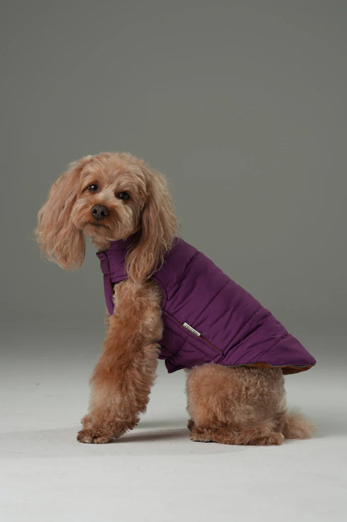 REVERSIBLE DOG VEST JACKET - PURPLE CARAMEL