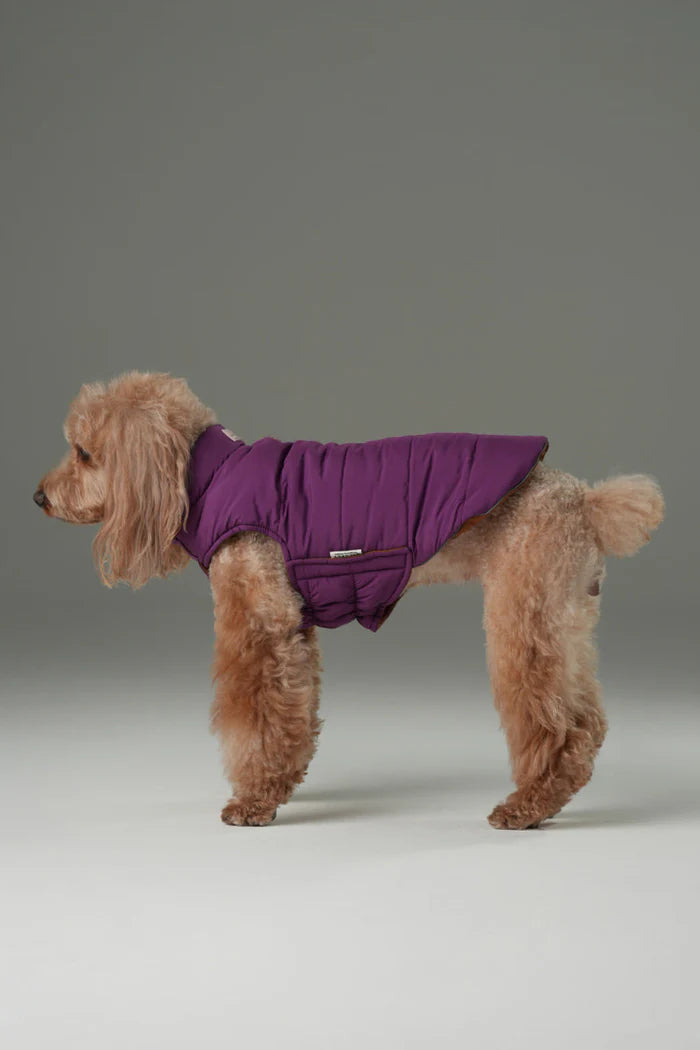 REVERSIBLE DOG VEST JACKET - PURPLE CARAMEL