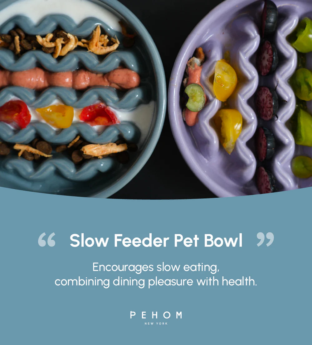 [MACARONI] SLOW FEEDER DOG BOWLS