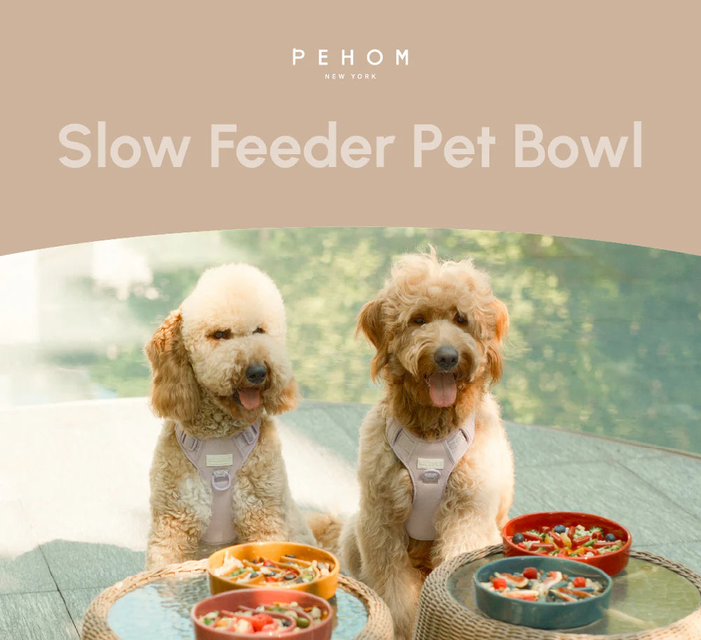 [WAVE] SLOW FEEDER DOG BOWLS