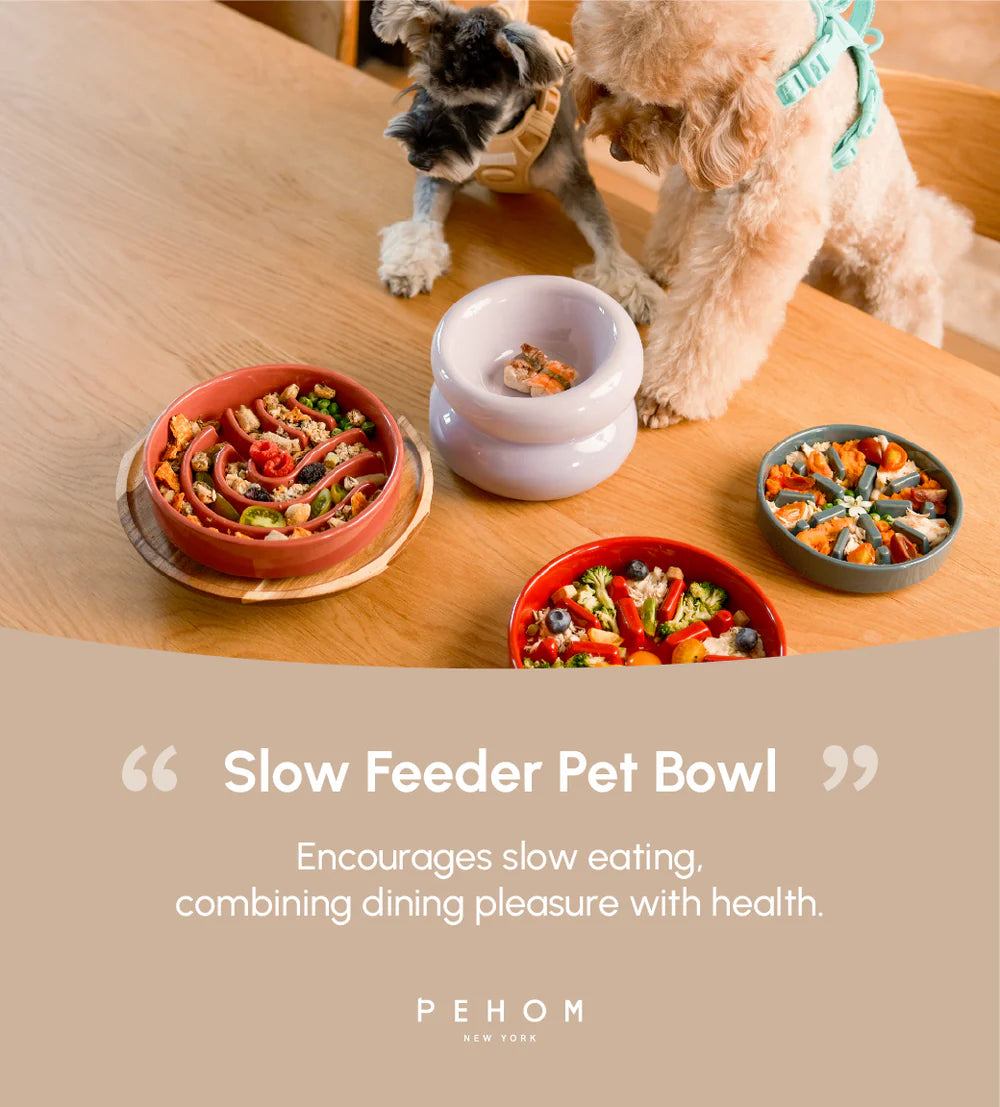 [WAVE] SLOW FEEDER DOG BOWLS