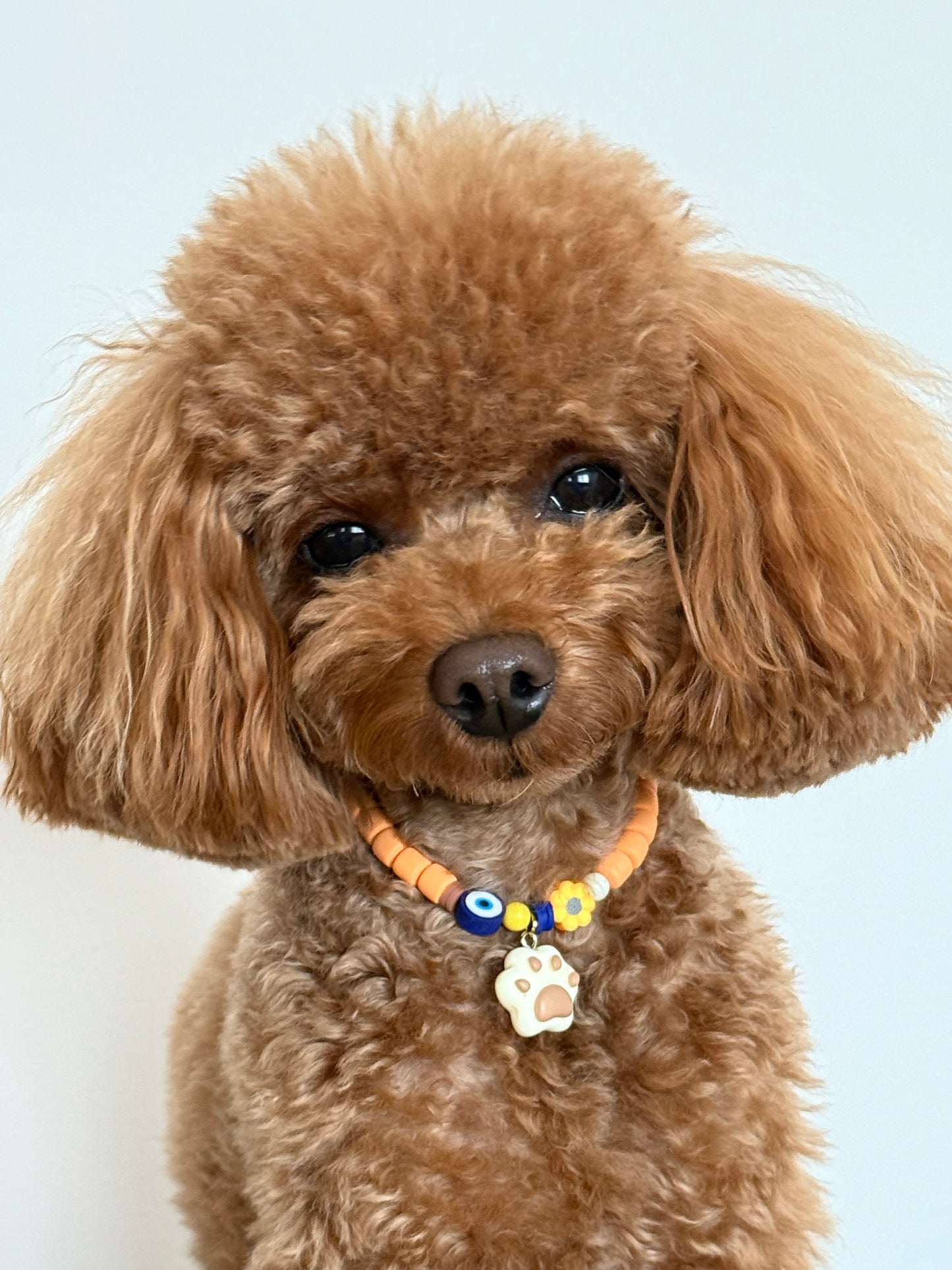 The Paw Necklace