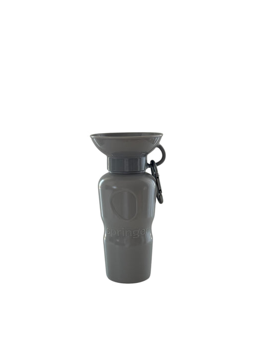 Travel Water Bottle - Gray