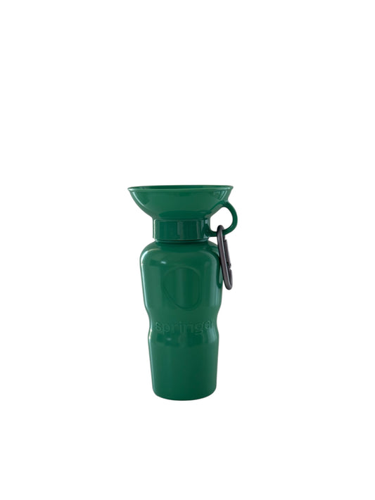 Travel Water Bottle - Green